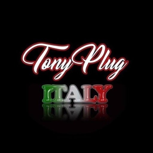 Logo TONY PLUG